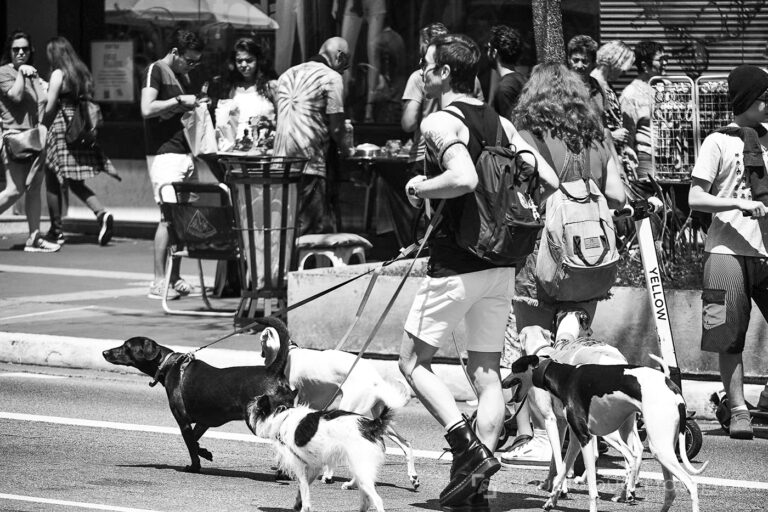 Av Paulista