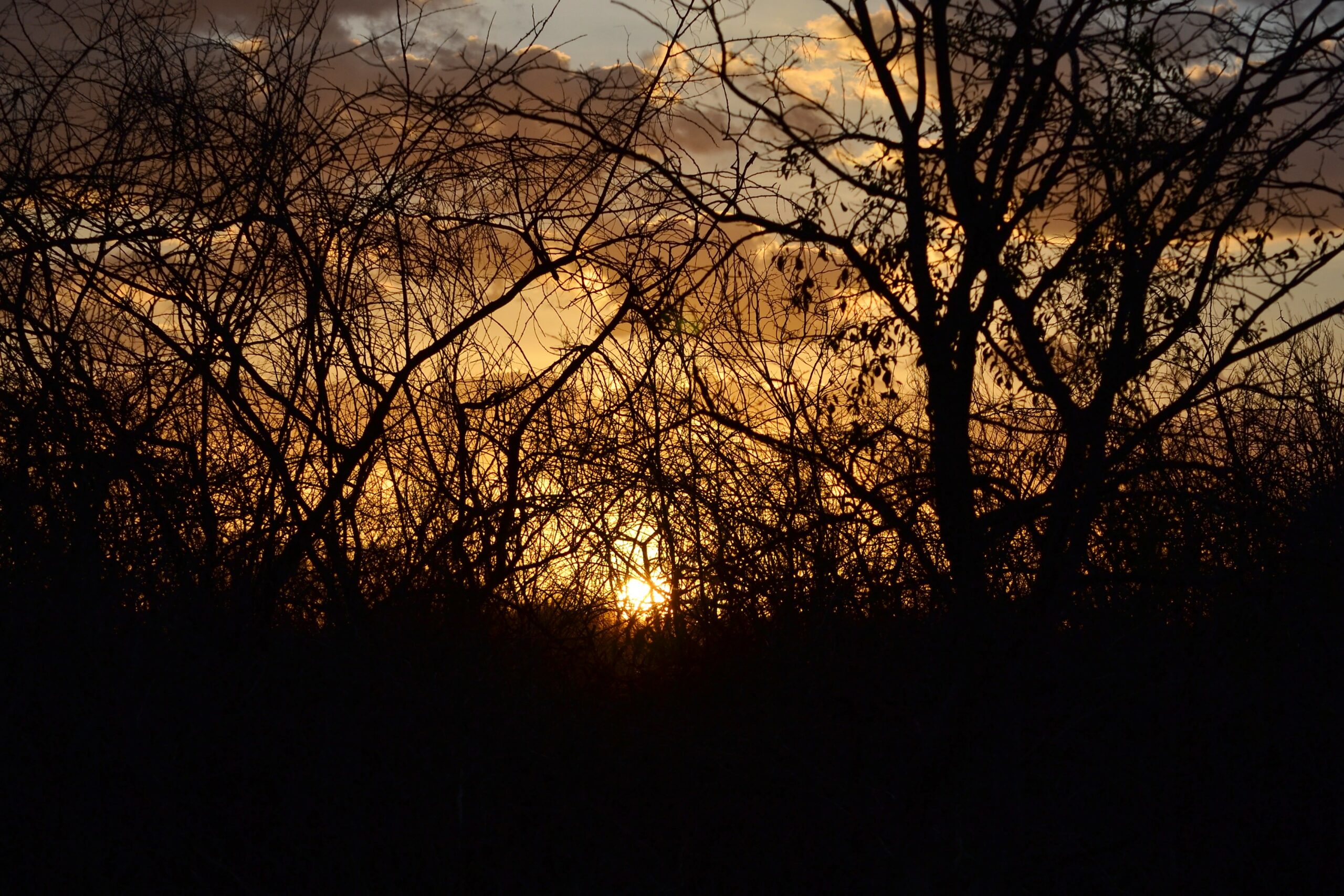 DSC_0200